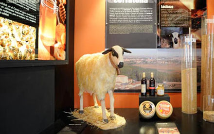 Réplica de oveja chura y zorro para el Museo del Cerrato Casttellano